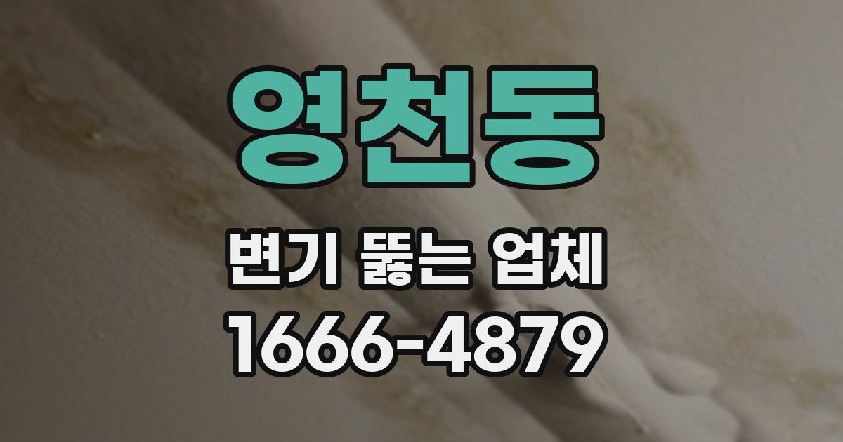영천동 변기 뚫는 업체