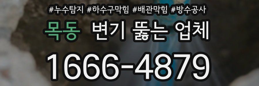 목동 변기 뚫는 업체