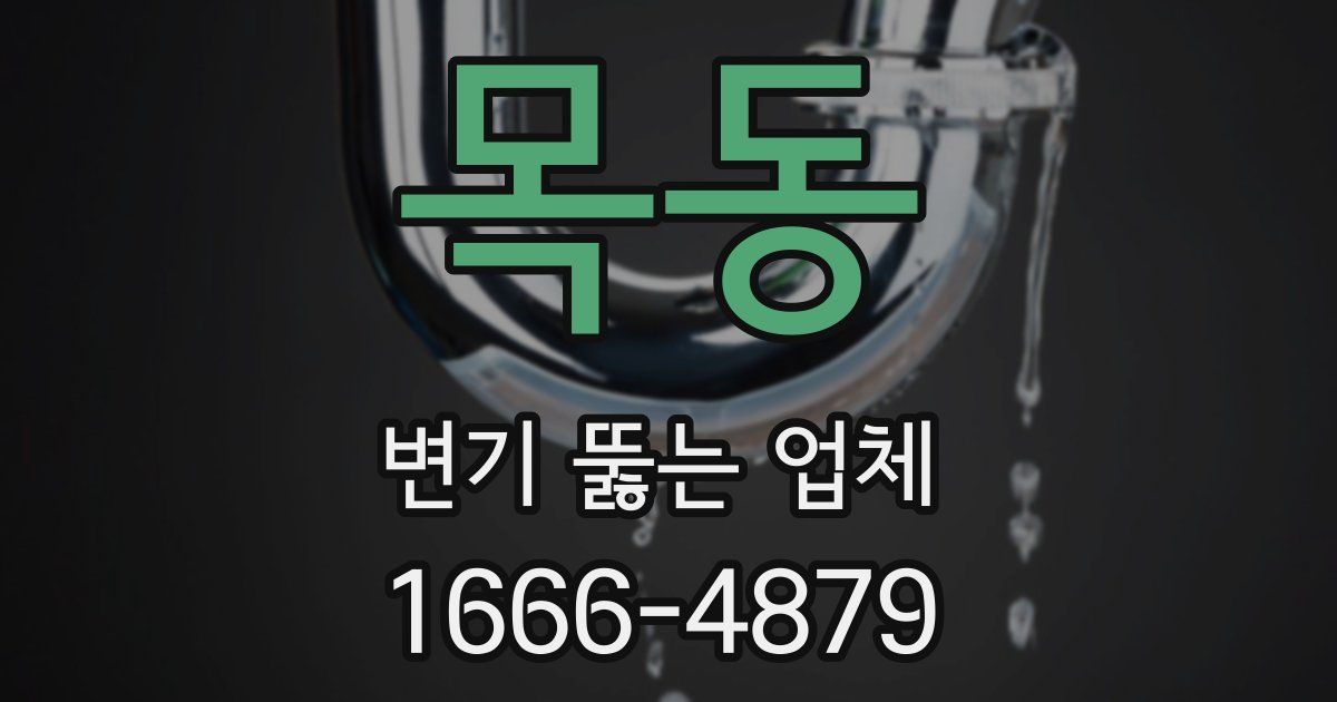 목동 변기 뚫는 업체