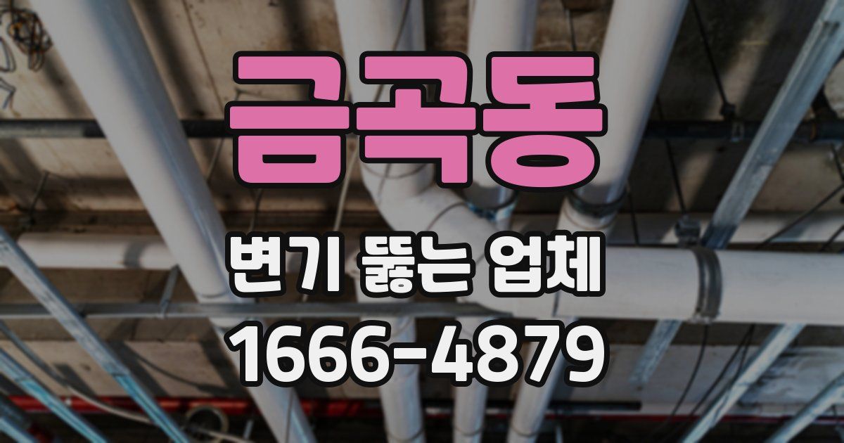 금곡동 변기 뚫는 업체