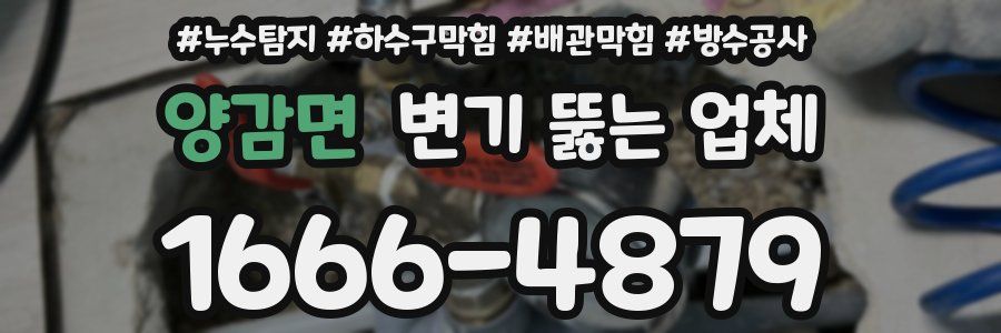 양감면 변기 뚫는 업체