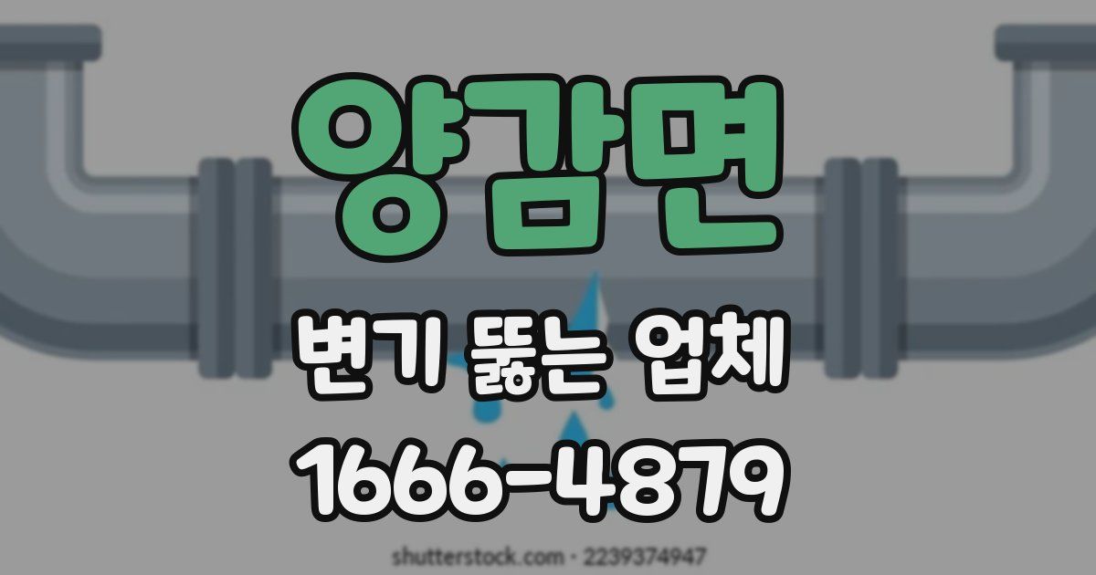 양감면 변기 뚫는 업체