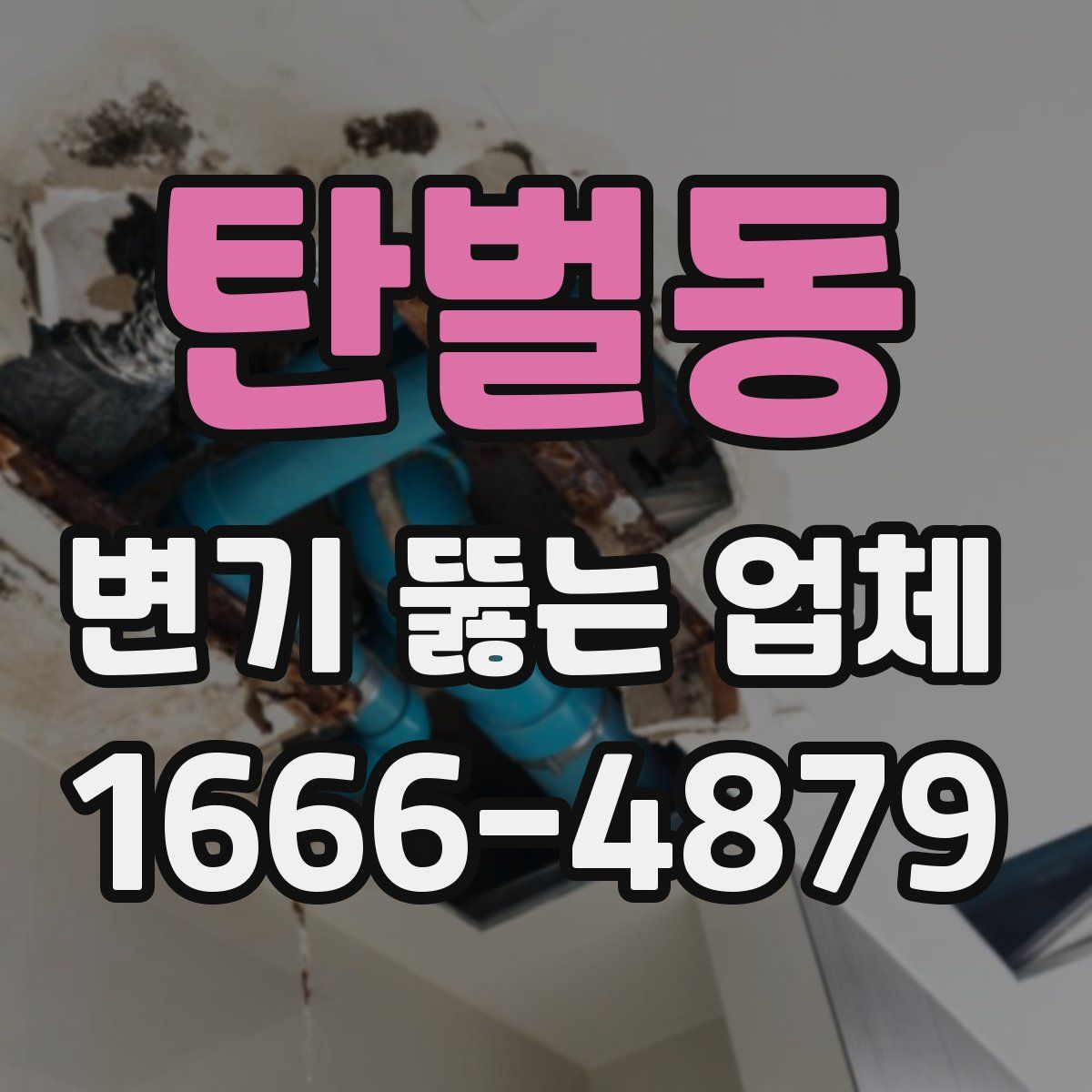 탄벌동 변기 뚫는 업체