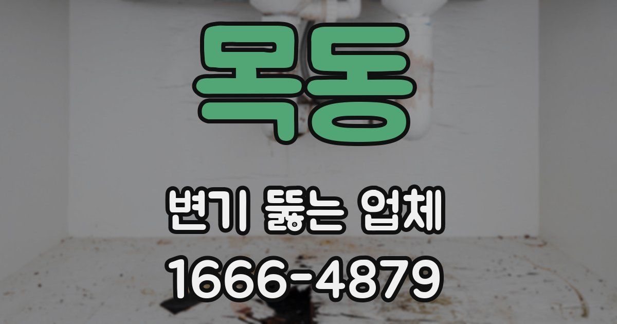 목동 변기 뚫는 업체