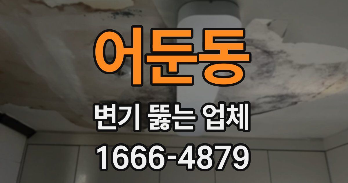 어둔동 변기 뚫는 업체