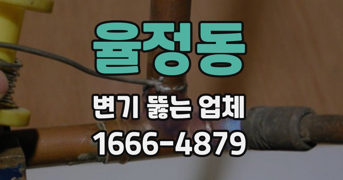 율정동 변기 뚫는 업체