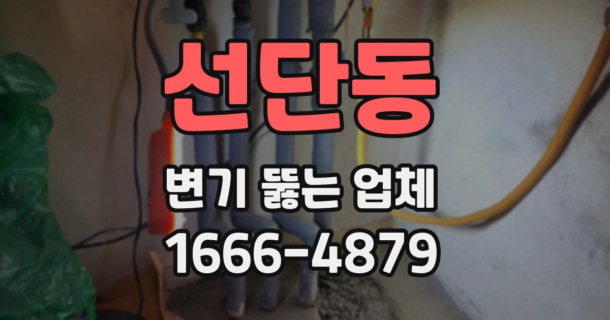 선단동 변기 뚫는 업체