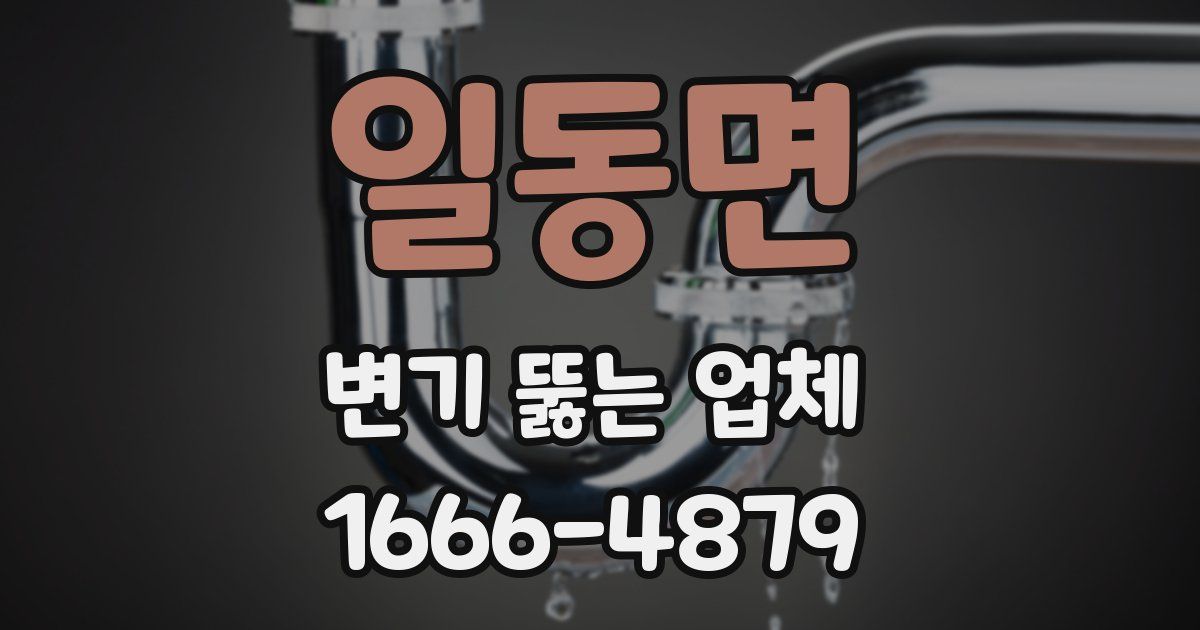 일동면 변기 뚫는 업체