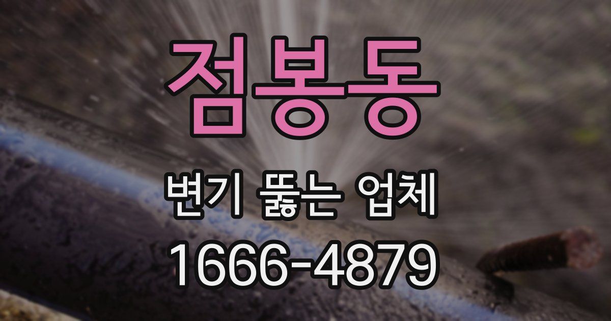 점봉동 변기 뚫는 업체