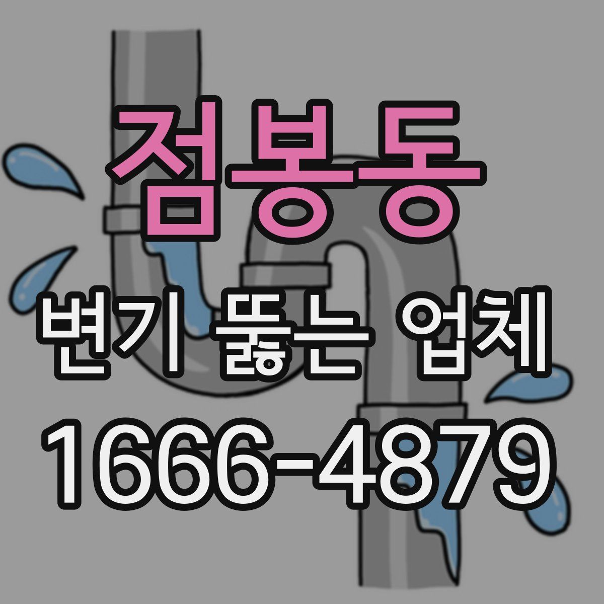 점봉동 변기 뚫는 업체