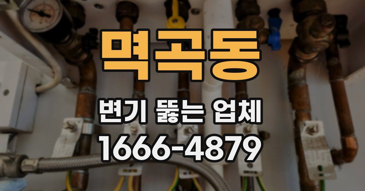 멱곡동 변기 뚫는 업체