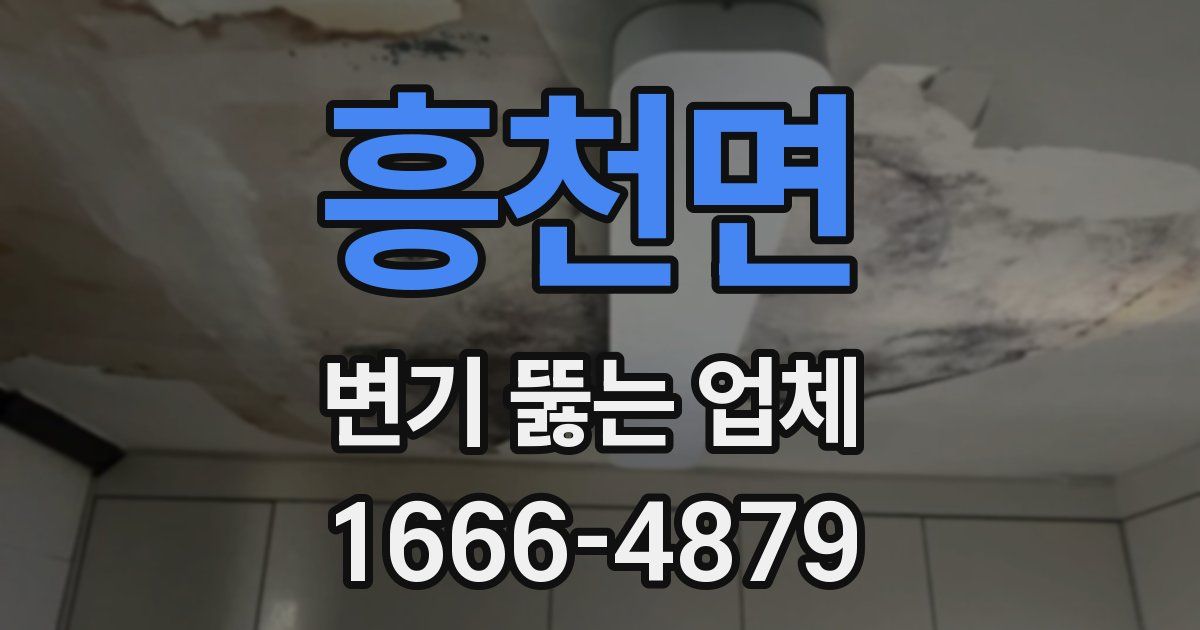 흥천면 변기 뚫는 업체