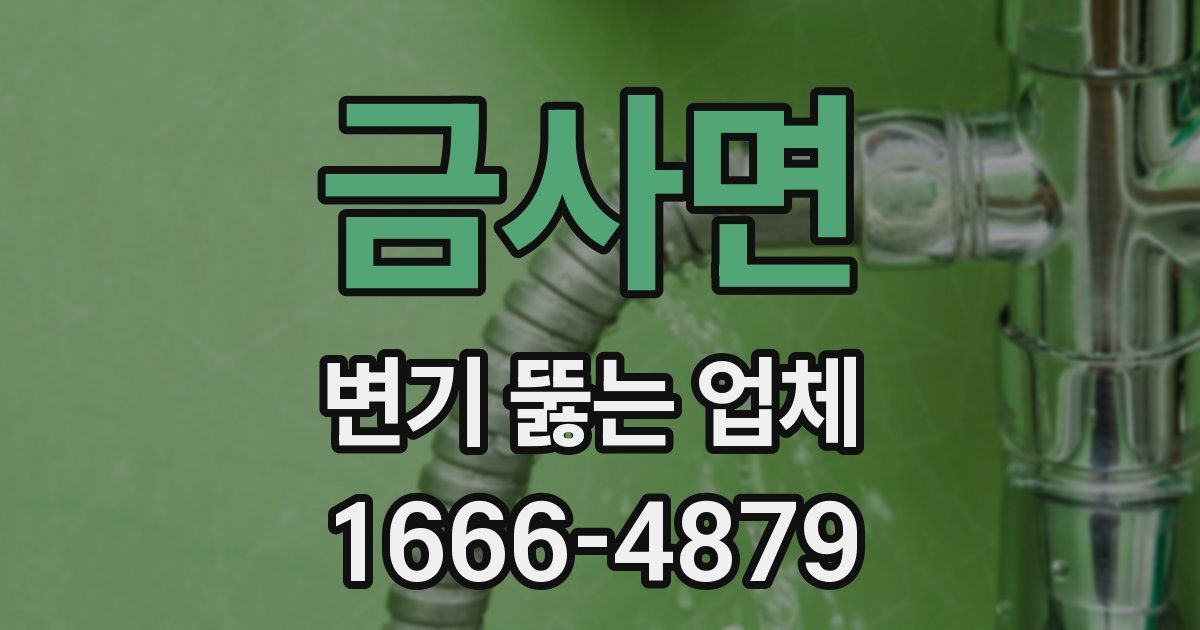 금사면 변기 뚫는 업체