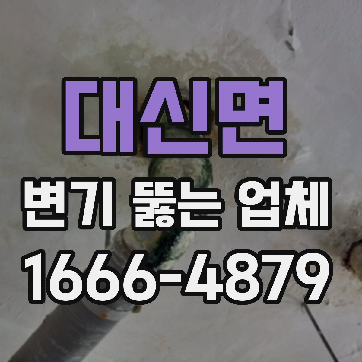 대신면 변기 뚫는 업체