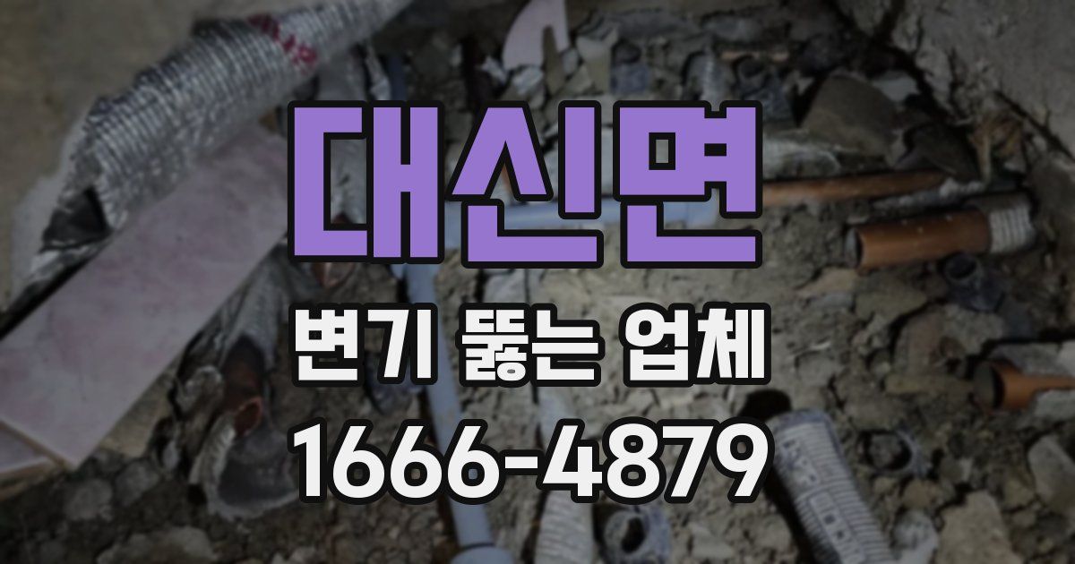 대신면 변기 뚫는 업체