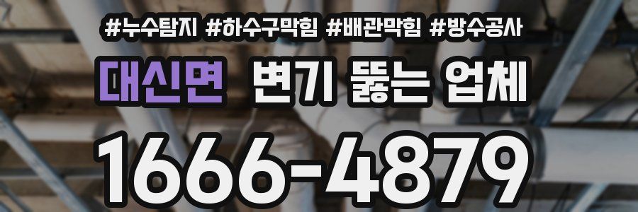 대신면 변기 뚫는 업체