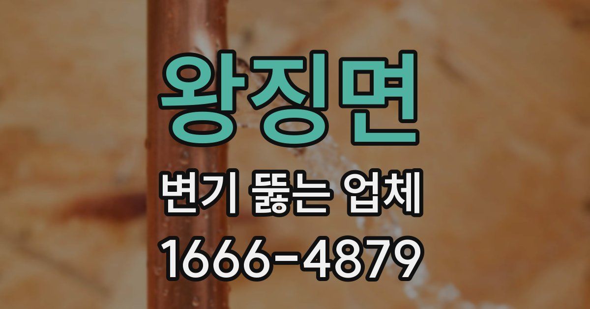 왕징면 변기 뚫는 업체