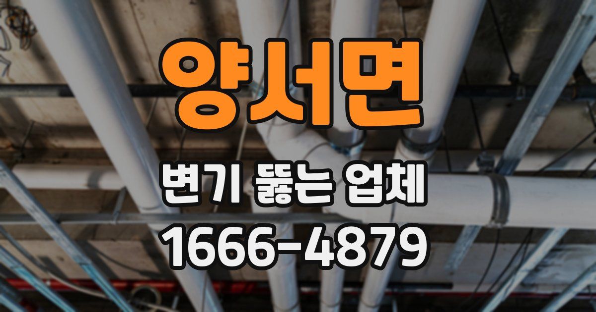 양서면 변기 뚫는 업체