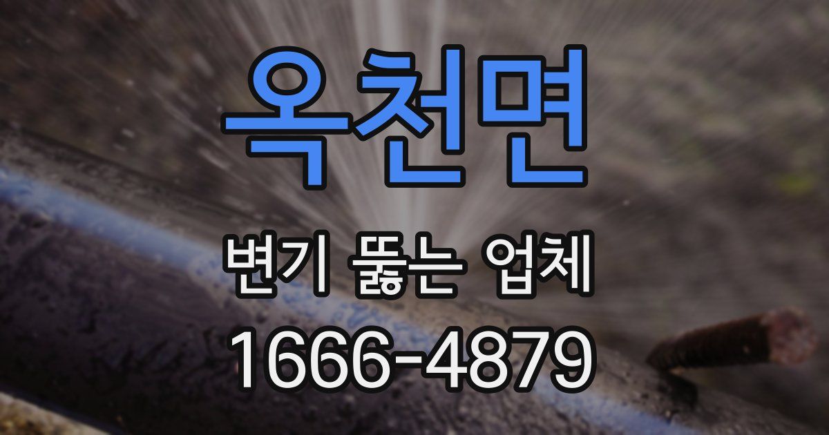 옥천면 변기 뚫는 업체