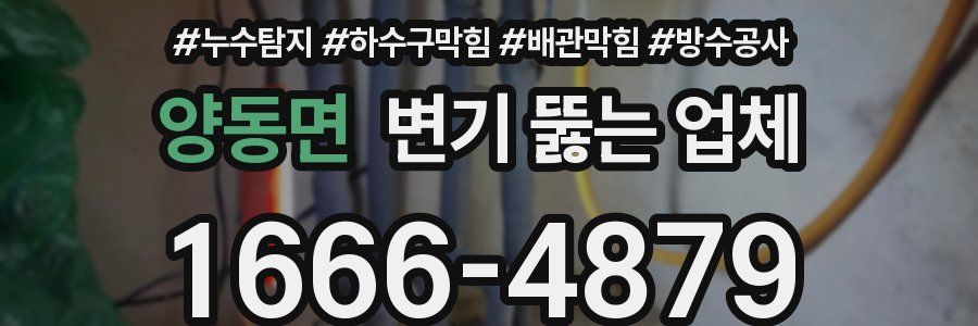 양동면 변기 뚫는 업체