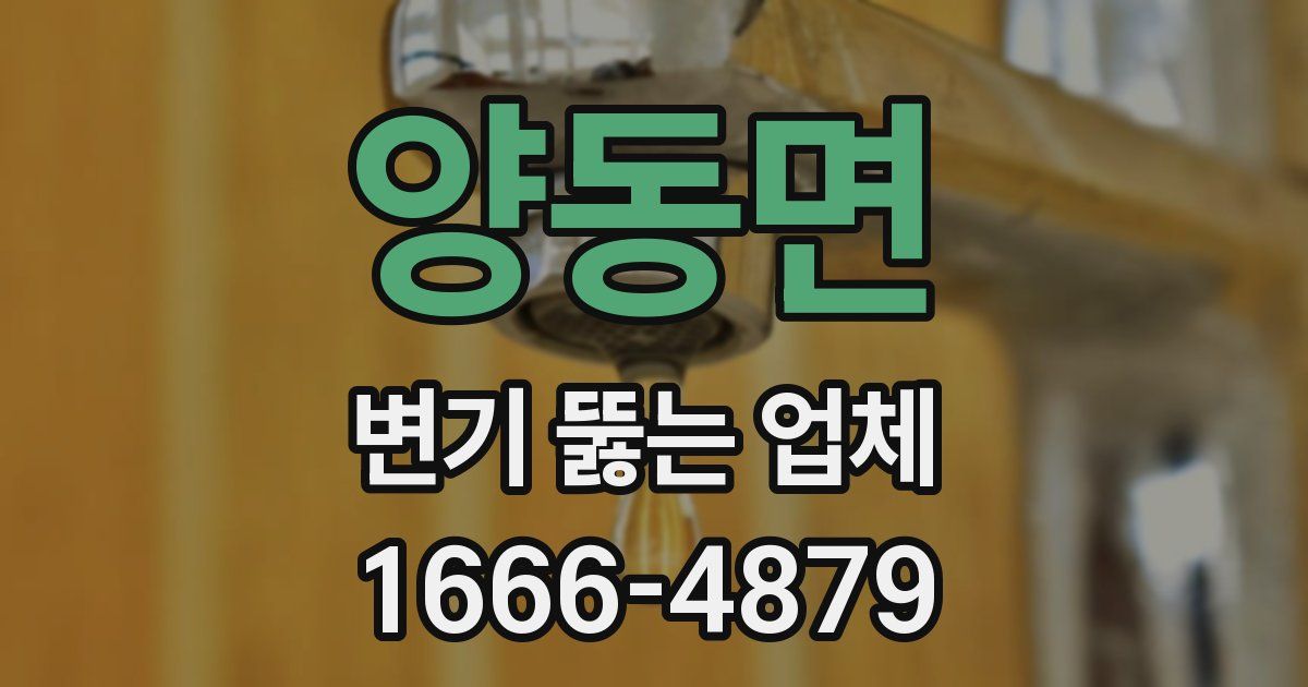 양동면 변기 뚫는 업체