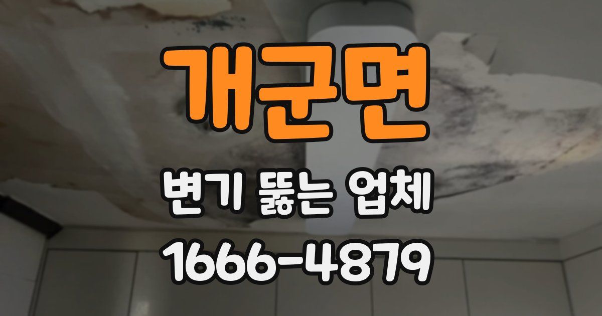 개군면 변기 뚫는 업체
