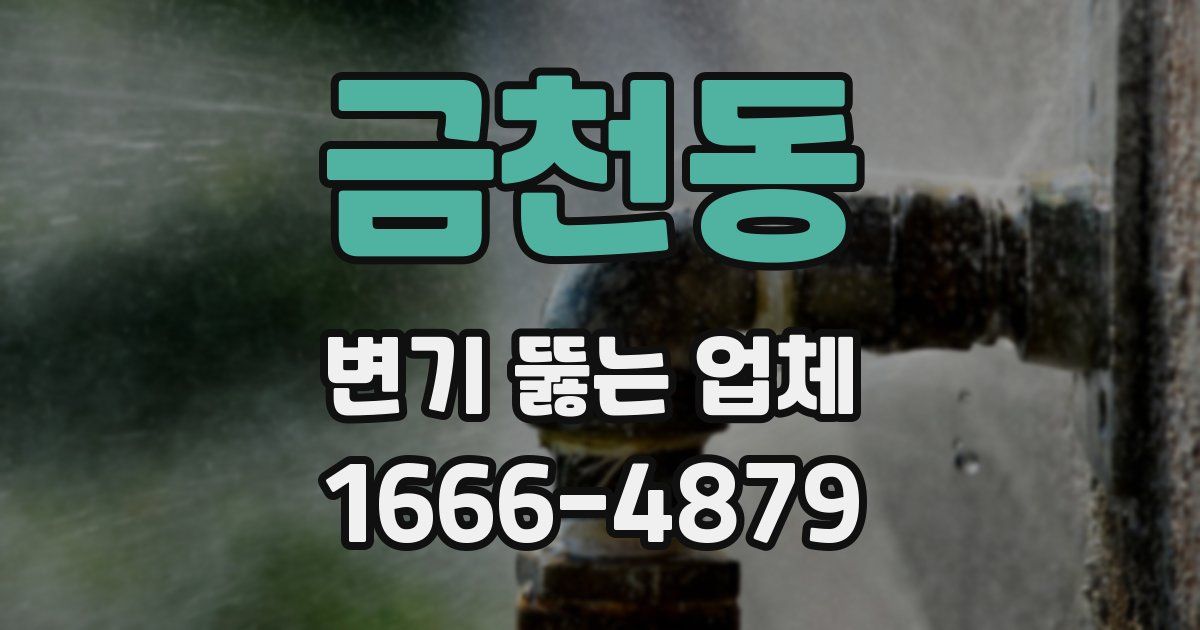 금천동 변기 뚫는 업체