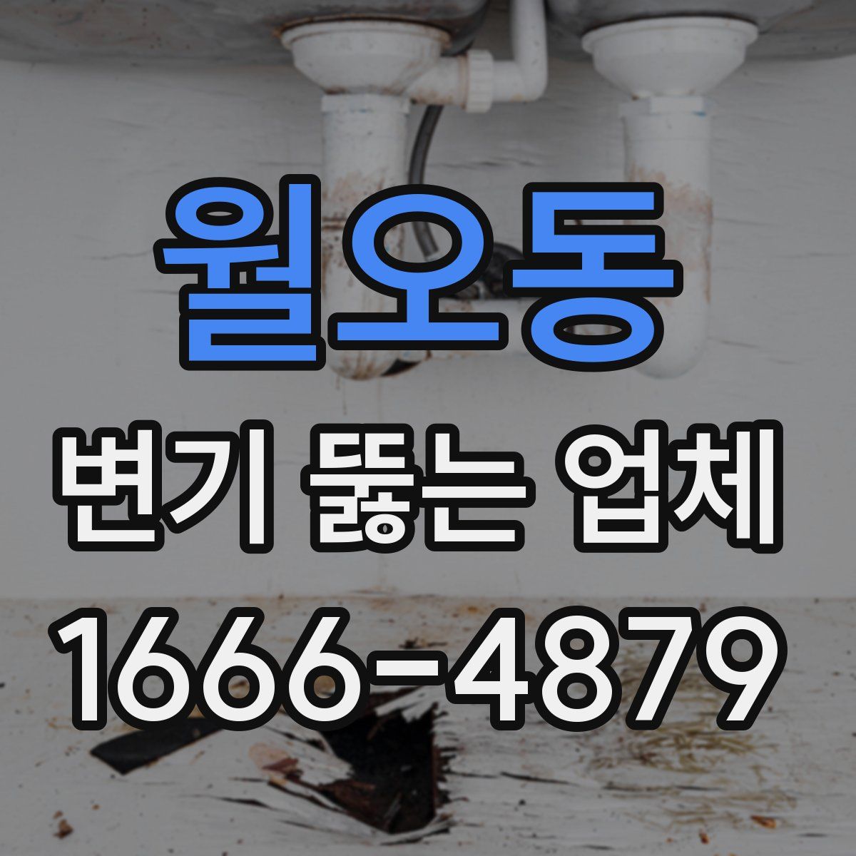 월오동 변기 뚫는 업체