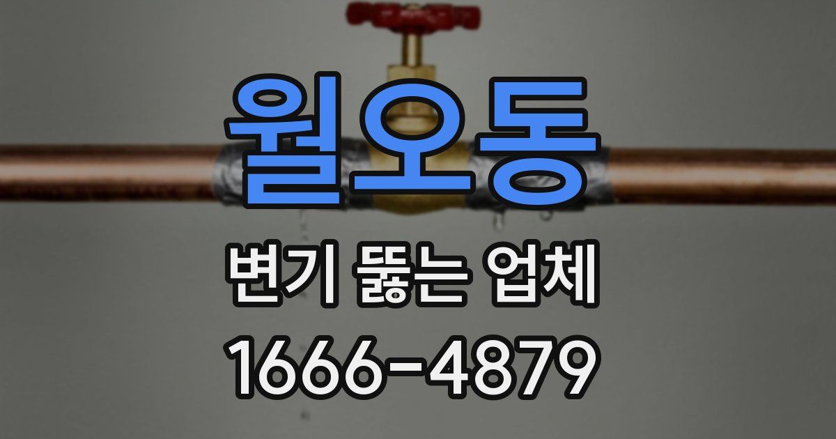 월오동 변기 뚫는 업체
