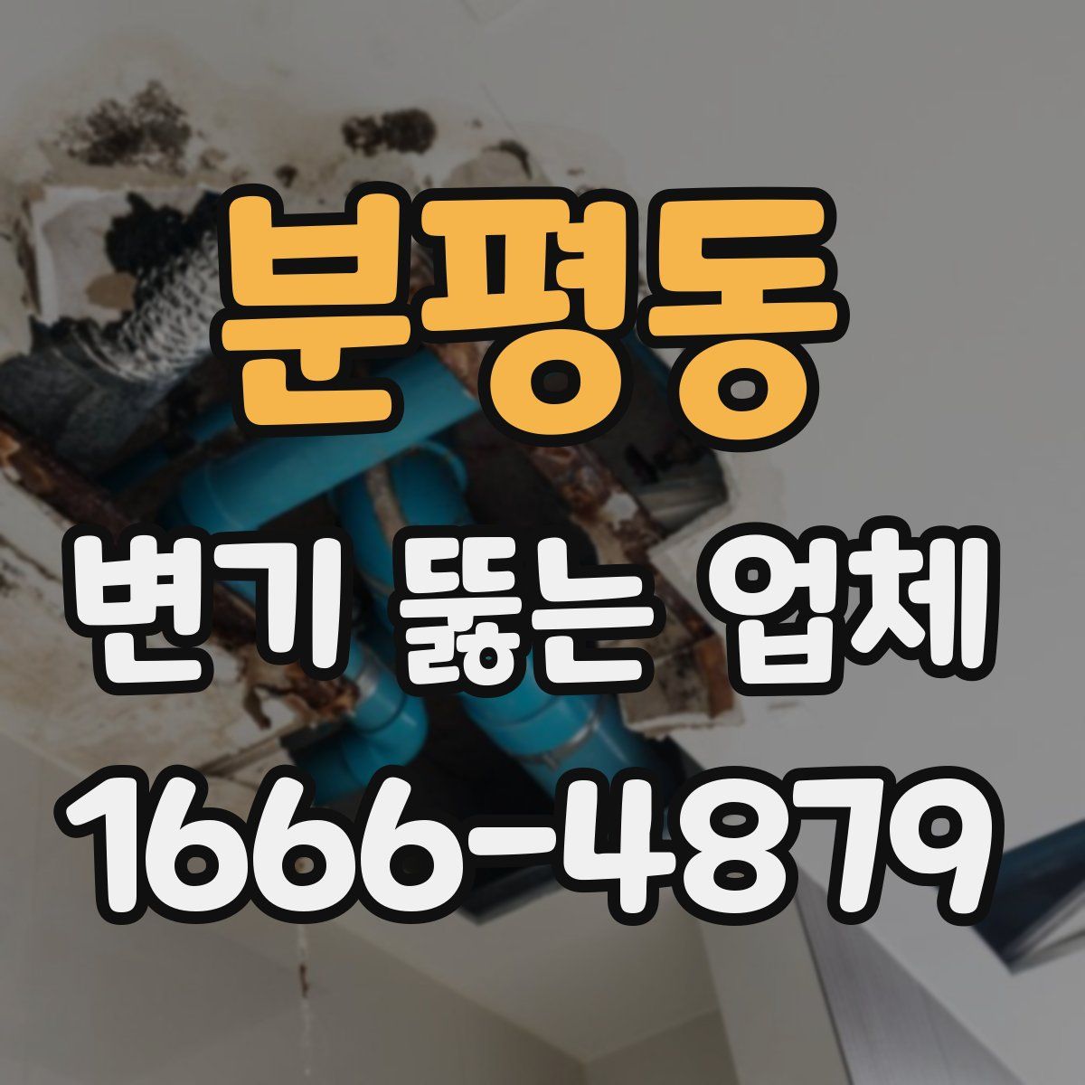 분평동 변기 뚫는 업체