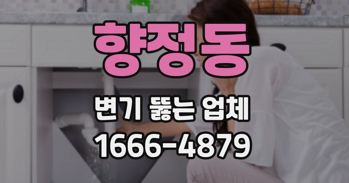 향정동 변기 뚫는 업체