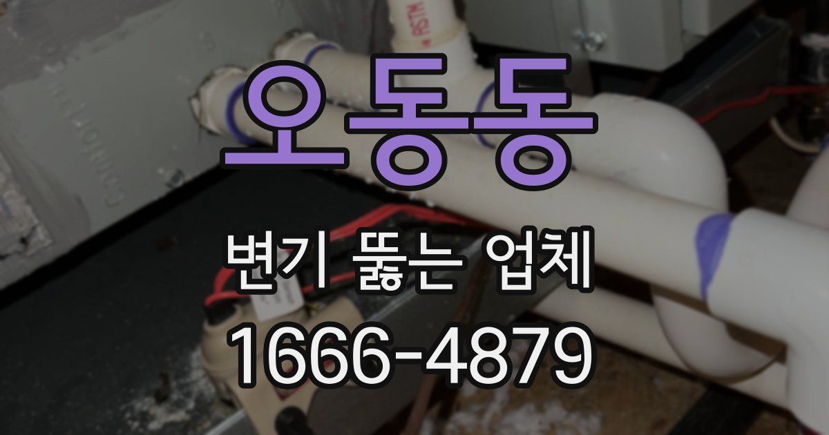 오동동 변기 뚫는 업체