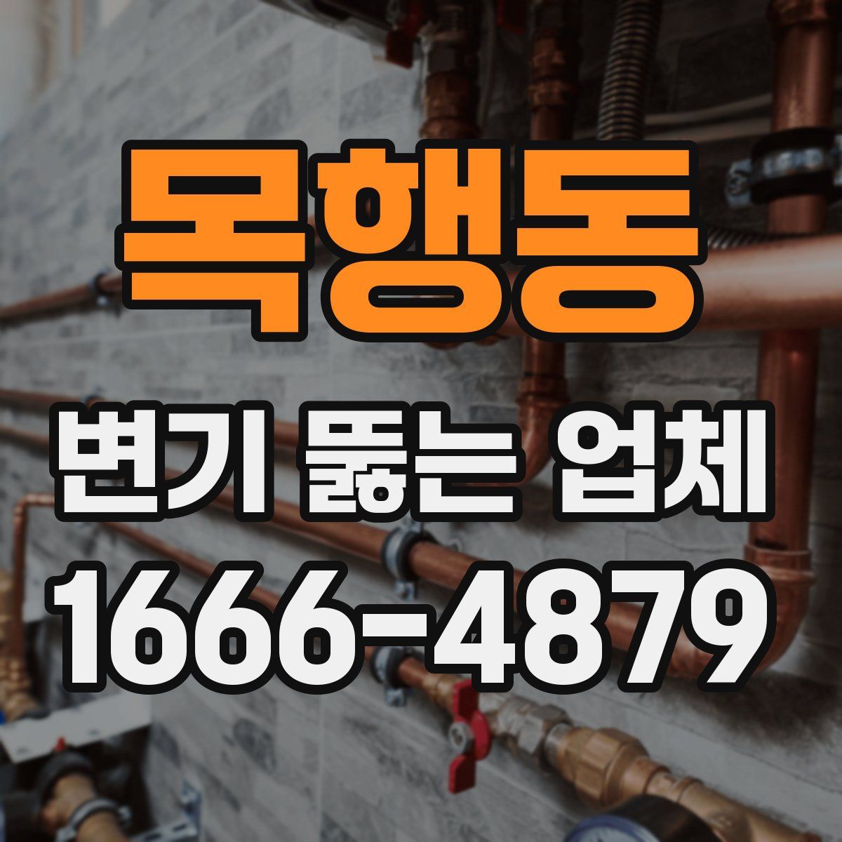 목행동 변기 뚫는 업체