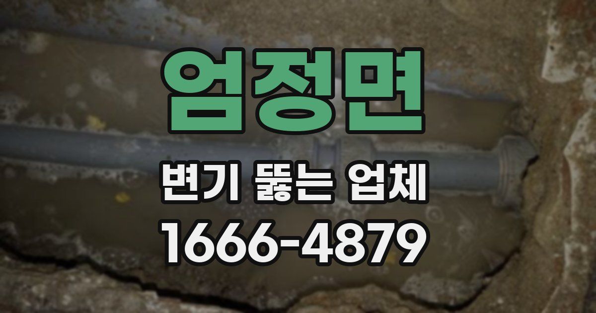 엄정면 변기 뚫는 업체
