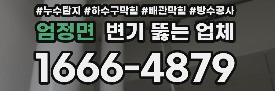 엄정면 변기 뚫는 업체
