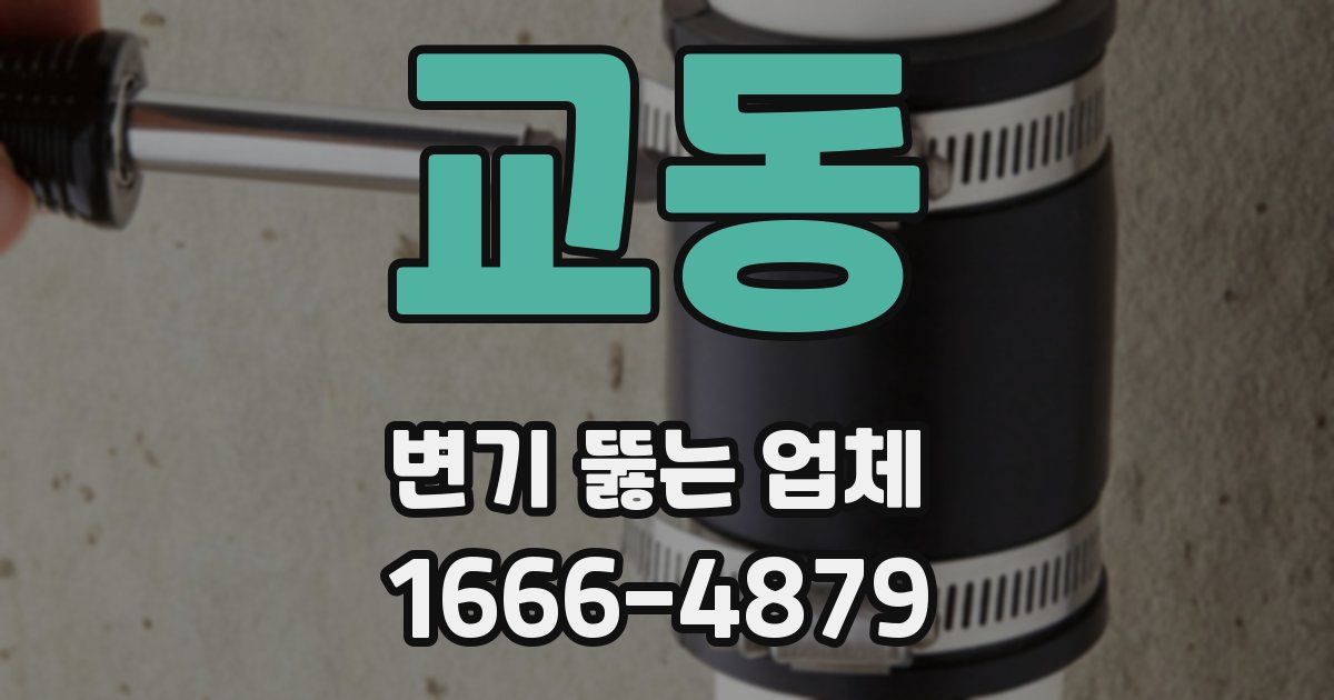 교동 변기 뚫는 업체