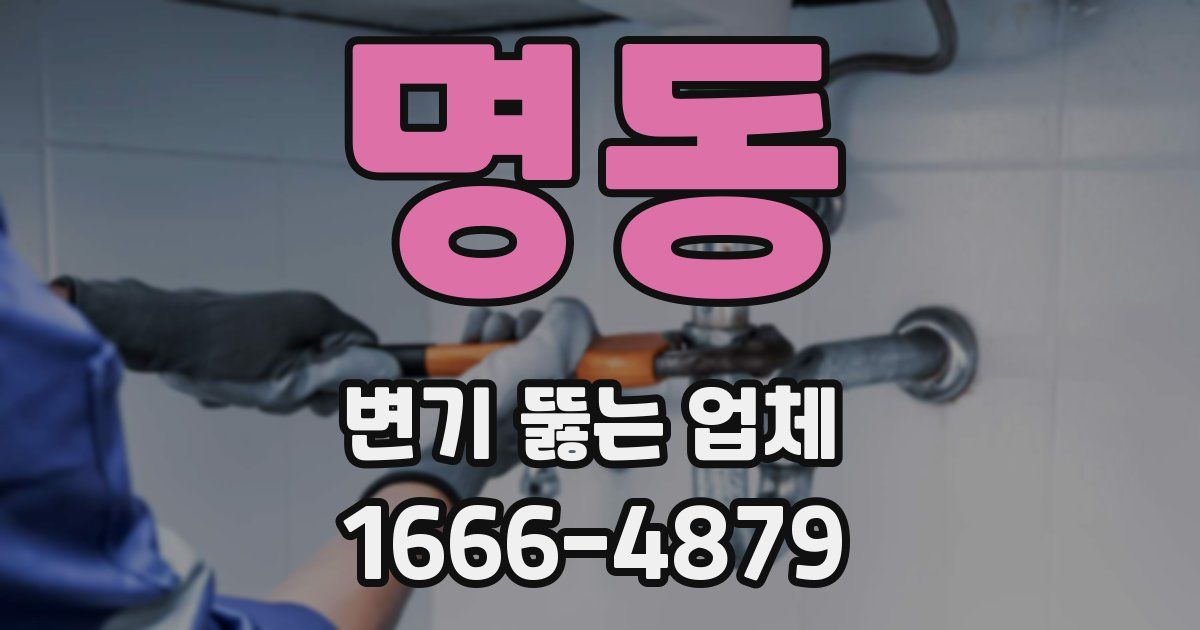 명동 변기 뚫는 업체
