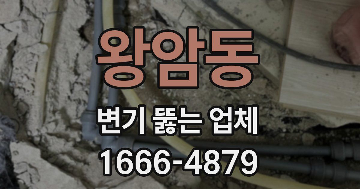 왕암동 변기 뚫는 업체