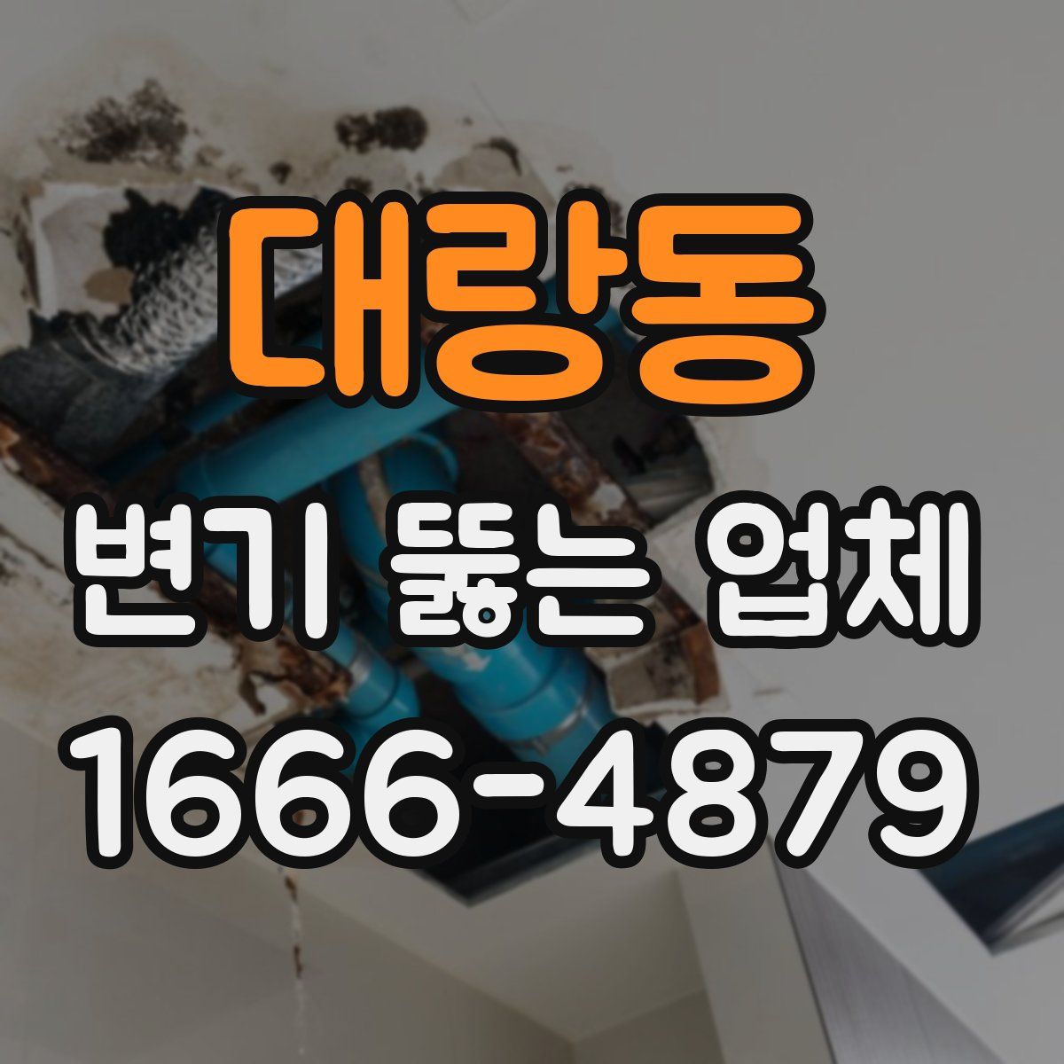 대랑동 변기 뚫는 업체