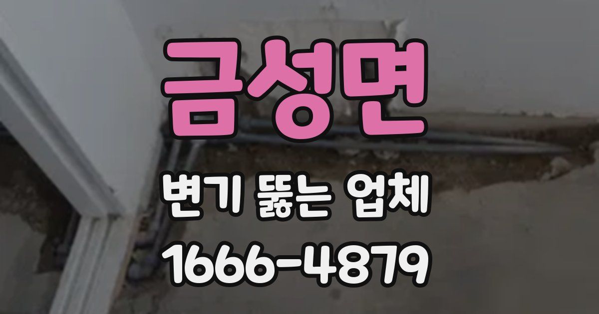 금성면 변기 뚫는 업체