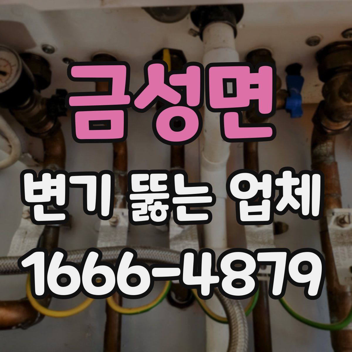 금성면 변기 뚫는 업체