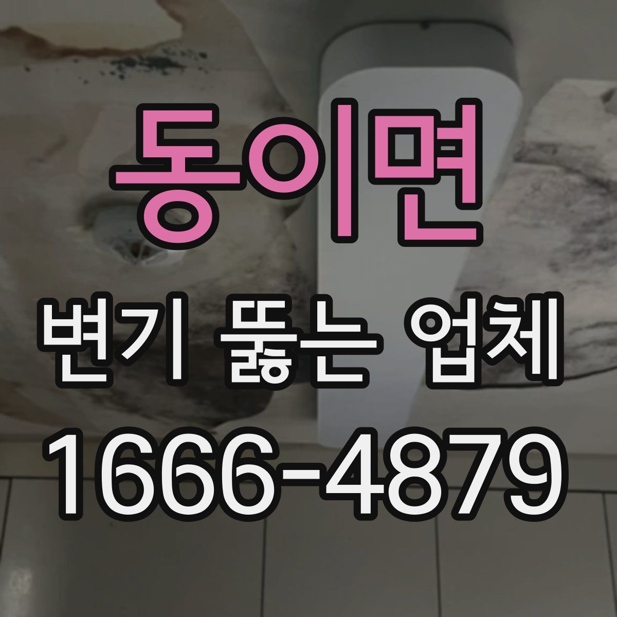 동이면 변기 뚫는 업체
