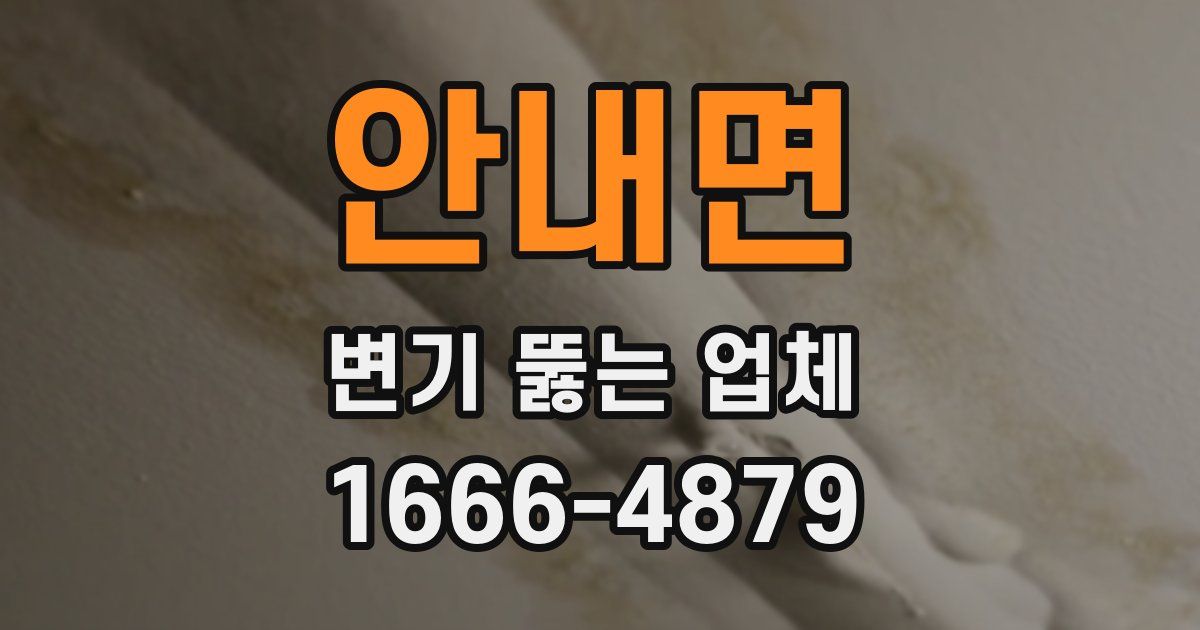 안내면 변기 뚫는 업체