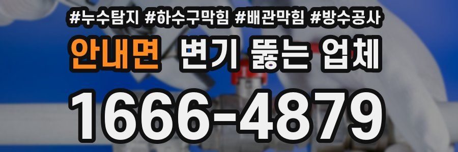 안내면 변기 뚫는 업체