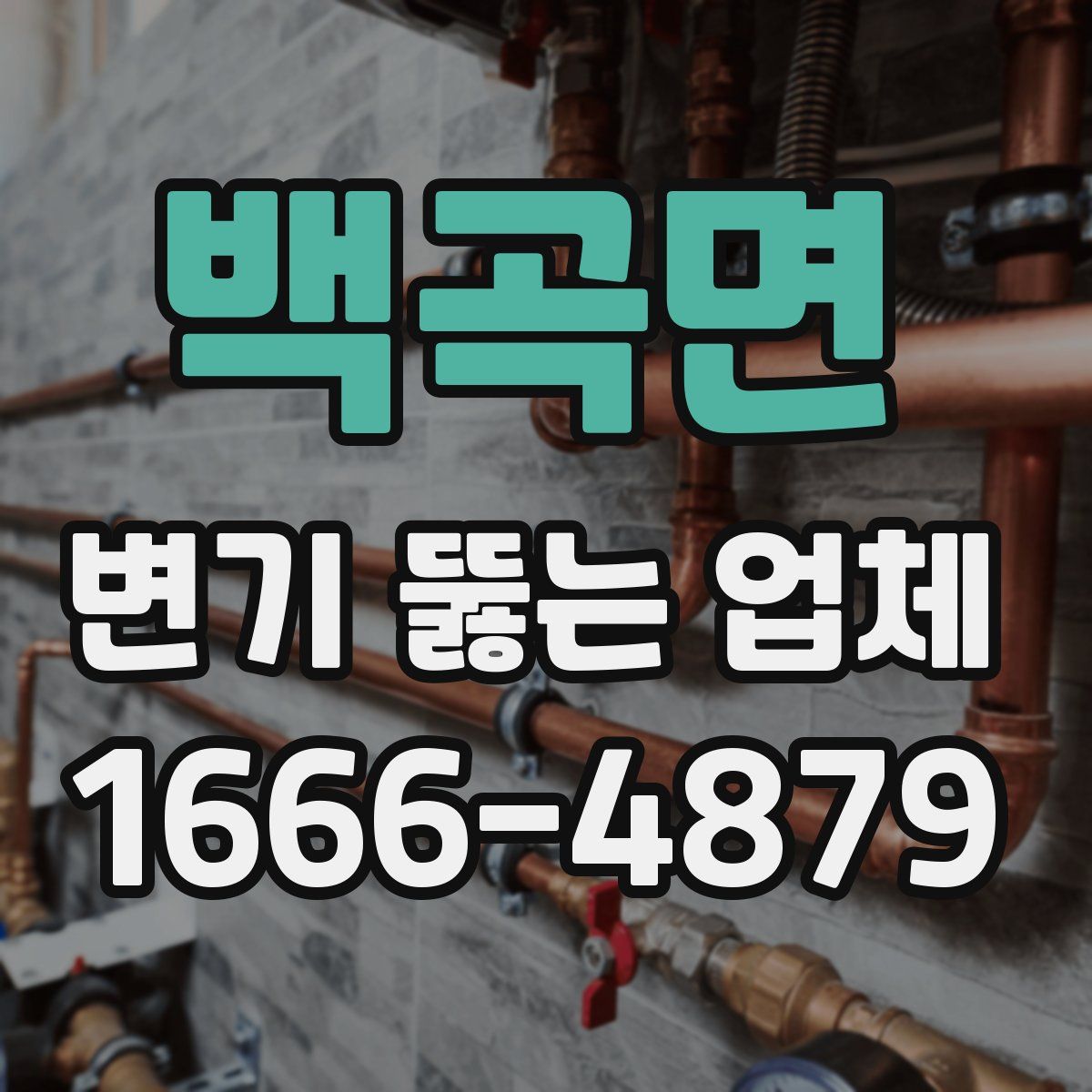 백곡면 변기 뚫는 업체