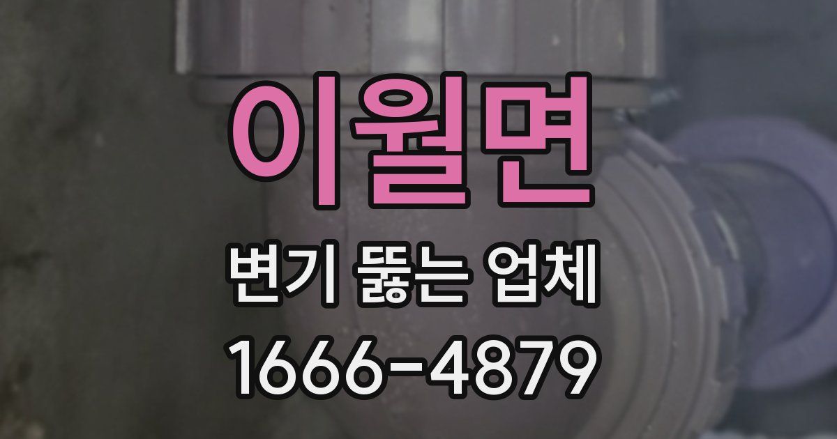 이월면 변기 뚫는 업체