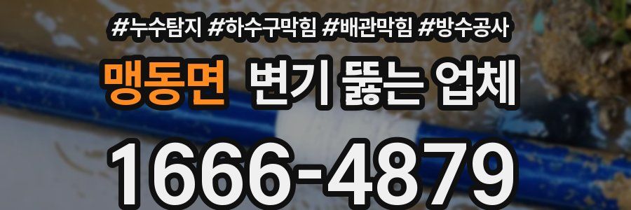 맹동면 변기 뚫는 업체