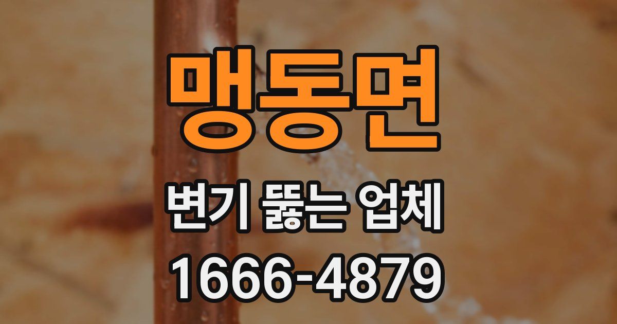 맹동면 변기 뚫는 업체
