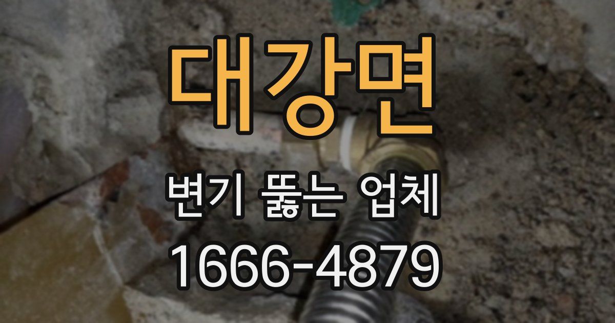 대강면 변기 뚫는 업체