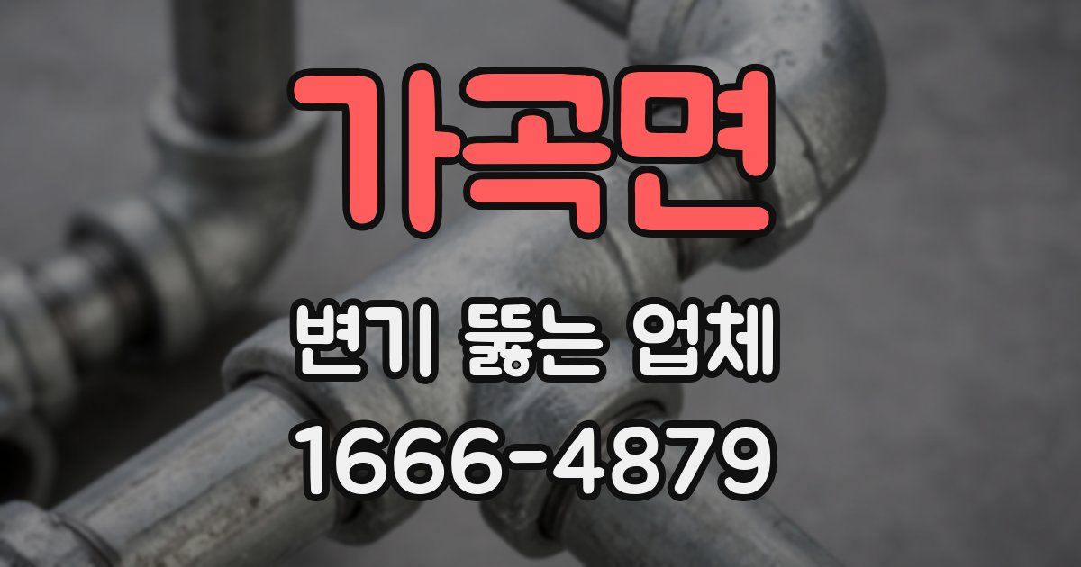 가곡면 변기 뚫는 업체